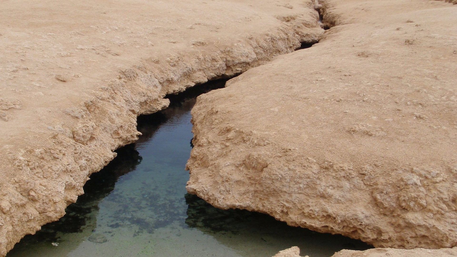 File:Ras Mohamed earth crack.jpg