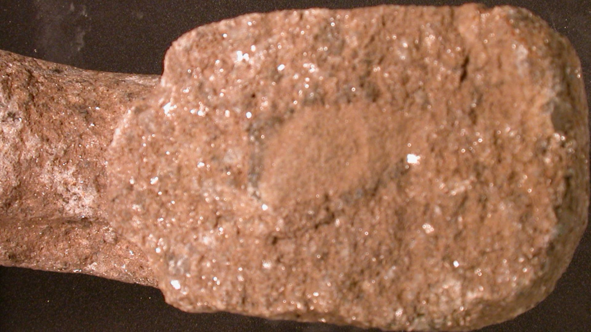 File:Rotary quern (section) (FindID 397000).jpg