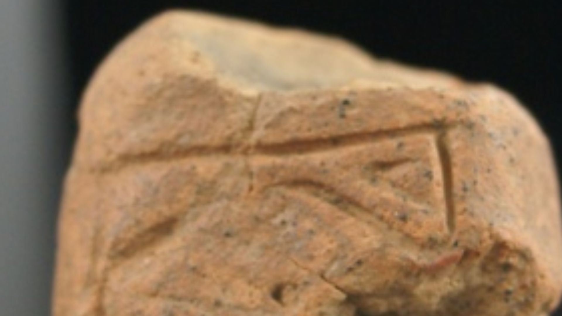 File:Westray Wife 2 20110529.jpg