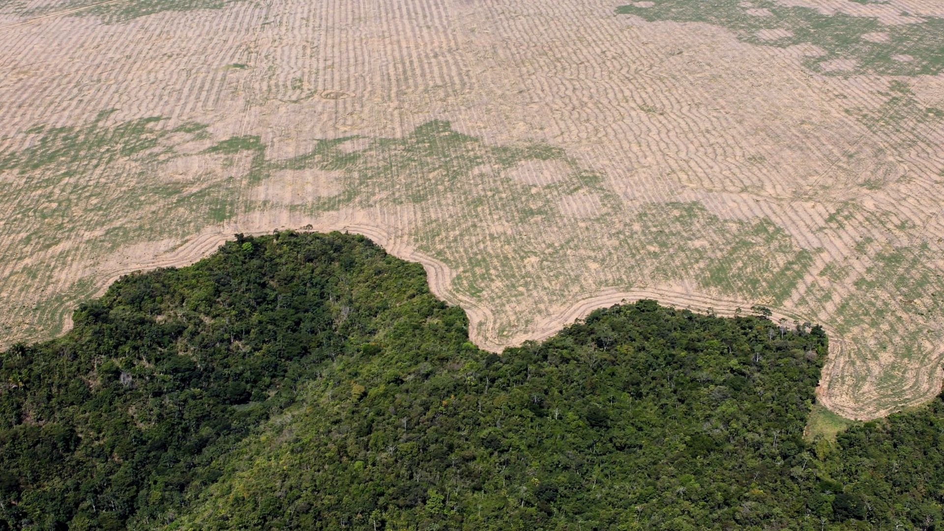 File:Operação Hymenaea, Julho-2016 (29399454651).jpg