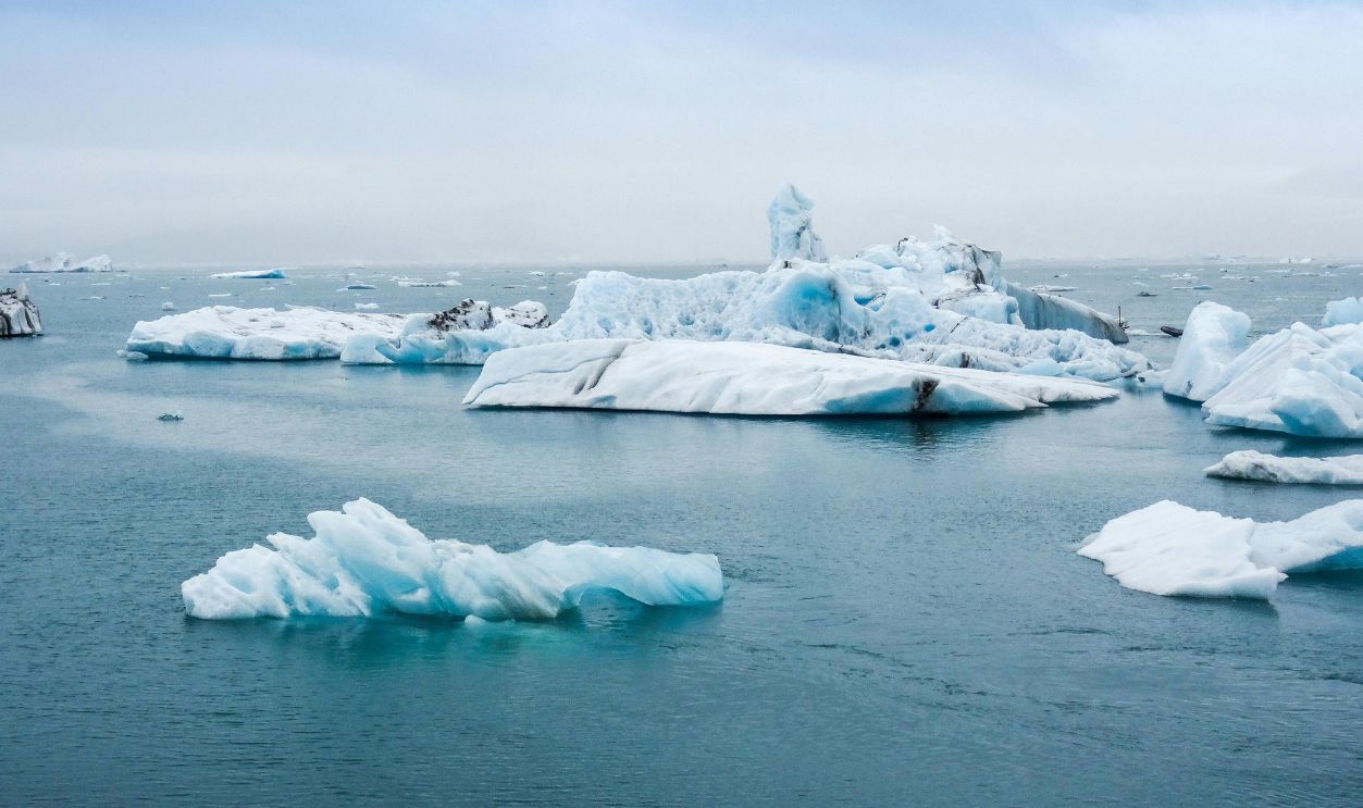 Icebergs floating in the sea