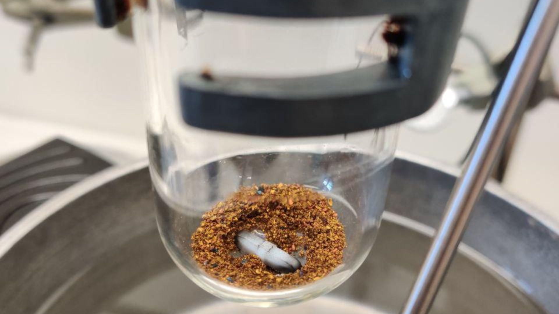 File:KC8 in einem Schlenkrohr unter Argonatmosphäre.jpg