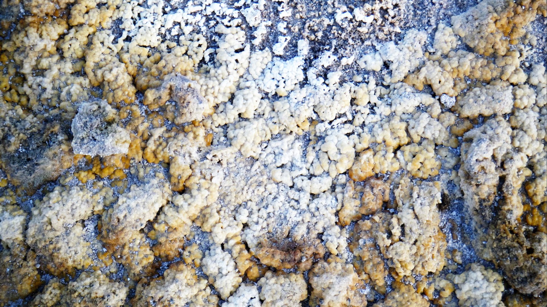 File:Sulphur (yellow-grey) iron (red) concretion and crystals of biotite (black), Caldara di Manziana, Italy.jpg