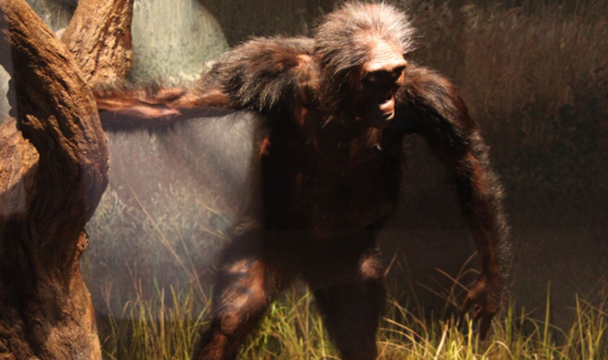 Reading The Layers Of Hadar's Sediment