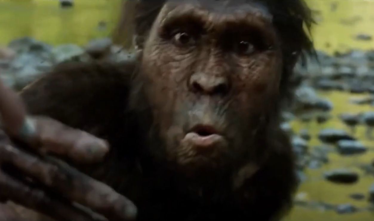 Where Scientists Still Disagree On Her Role