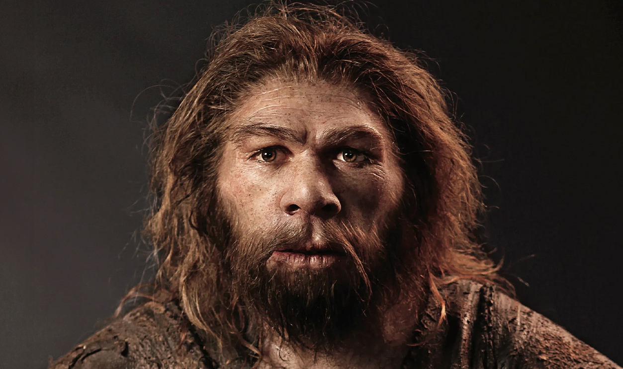 Neanderthalmarkings