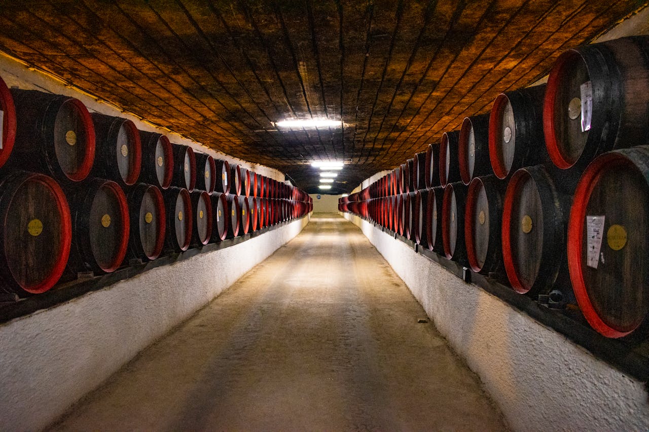 Wine barrels in a basement