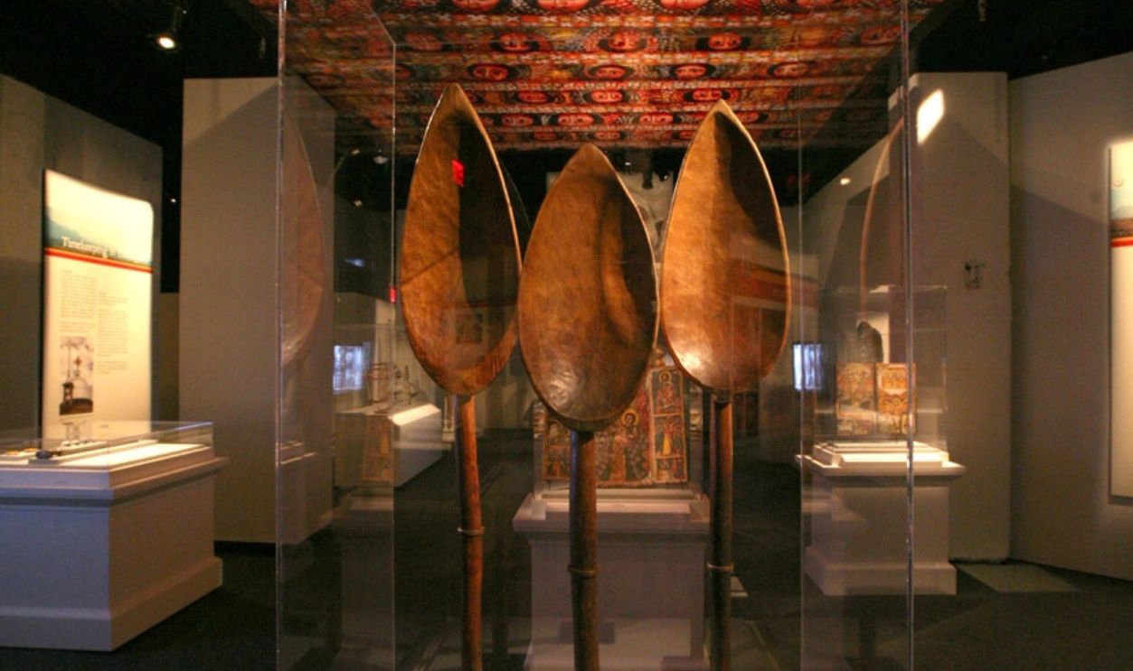 The Great Tool Use Debate In Australopithecus Afarensis Life