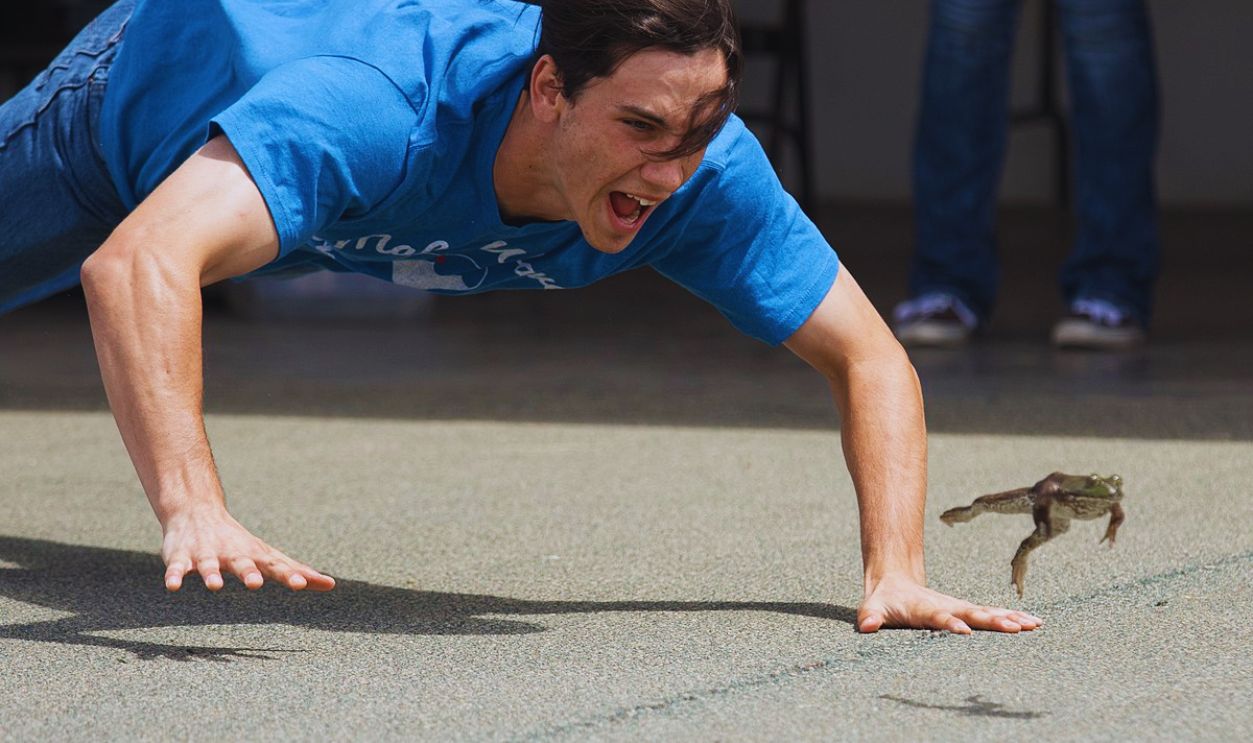 Frog jumping contest