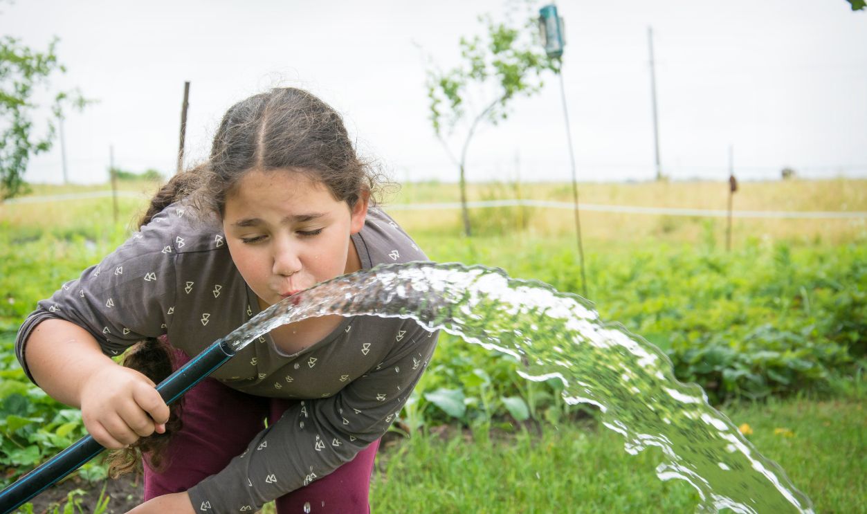 Drinking From The Same Garden Hose As Your Friends
