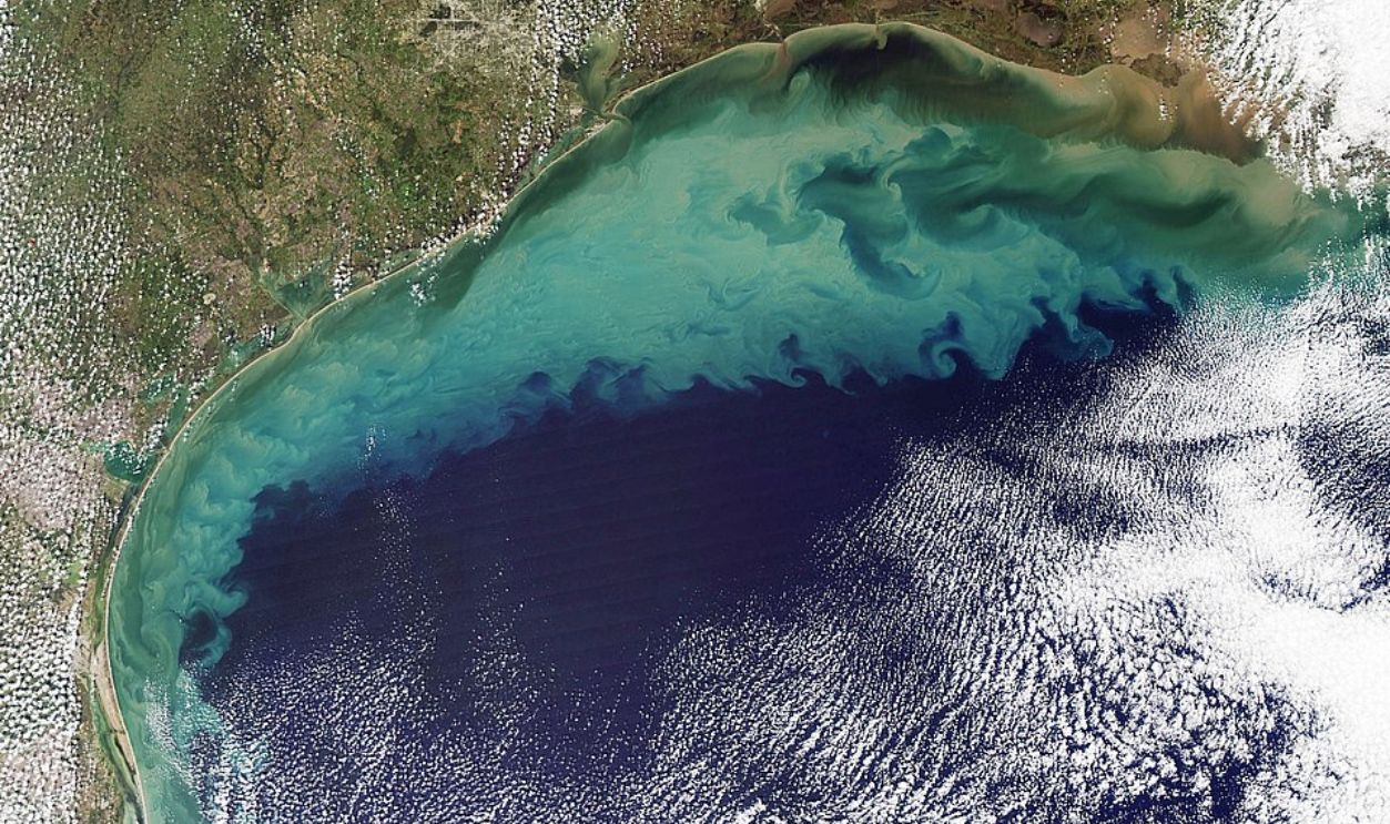 New Mexico Submerged Springs