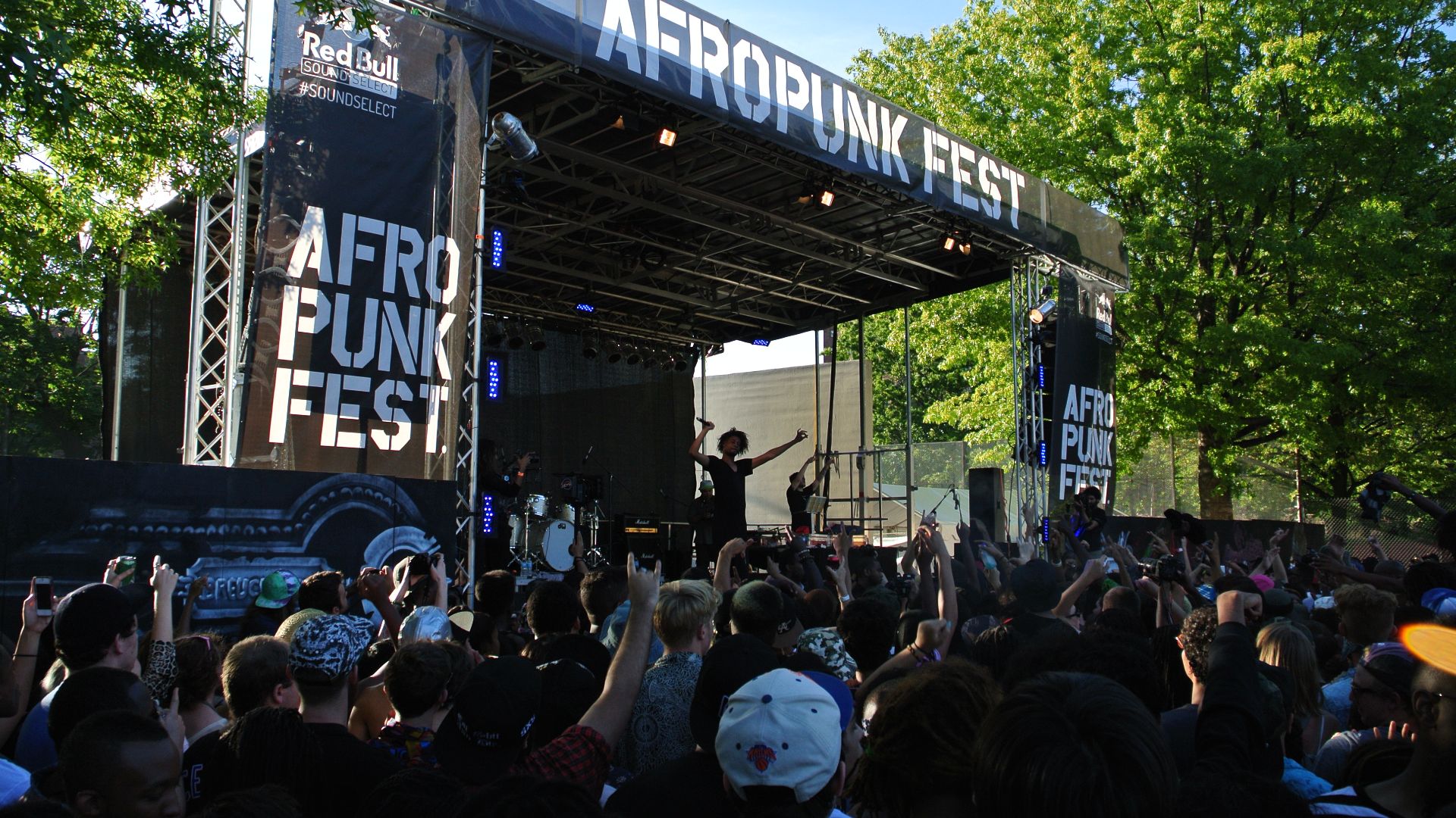 File:Afropunk Fest 2013 (9695793808).jpg