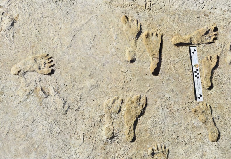 Aerial of at least two fossilized human footprint tracks