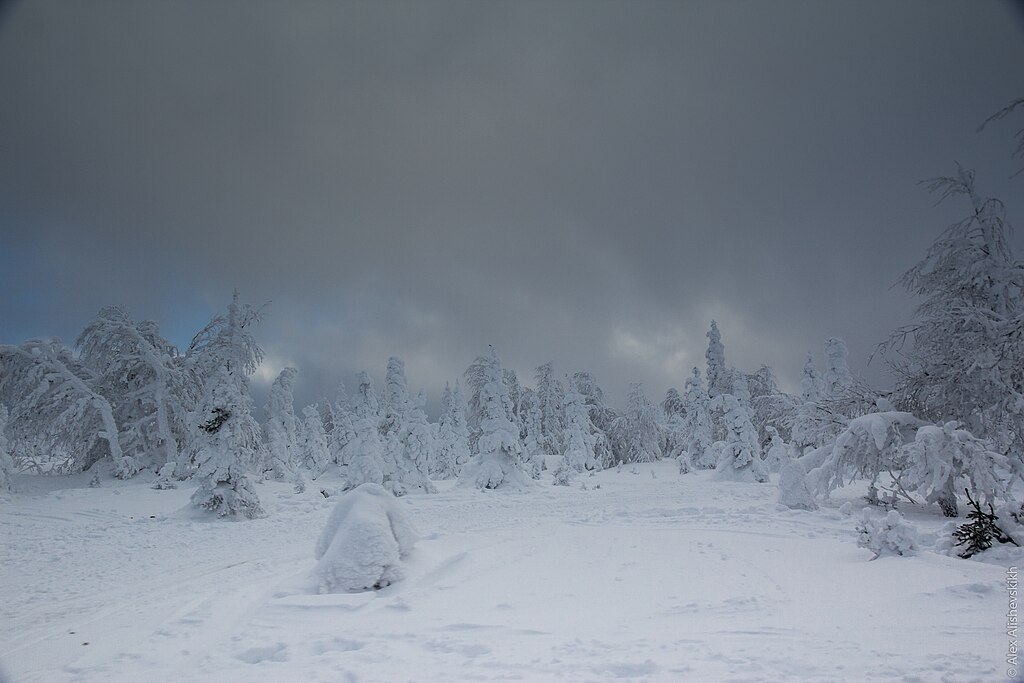 Ural Mountains in Winter 