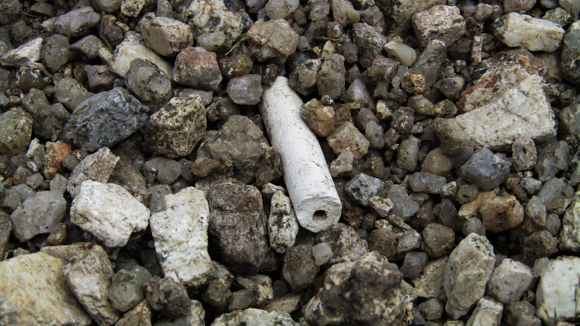 File:Clay Pipe Stem found in Disturbed Ground, Hay Tor.jpg