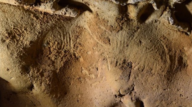 La Roche-Cotard Mother Bear And Cub