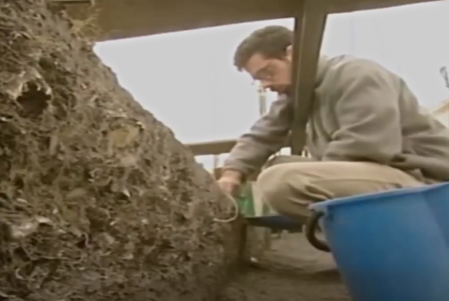 A screenshot of the documentary Ancient Voices