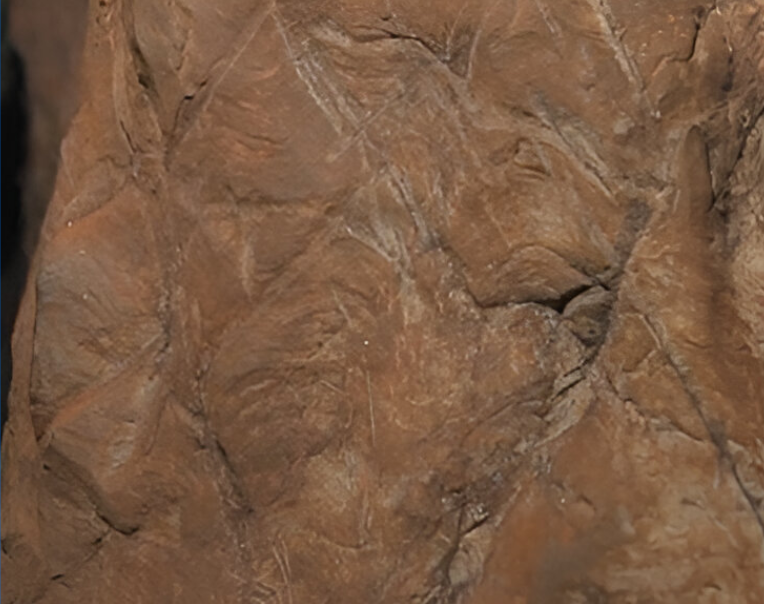 Cave Engraving from Africa