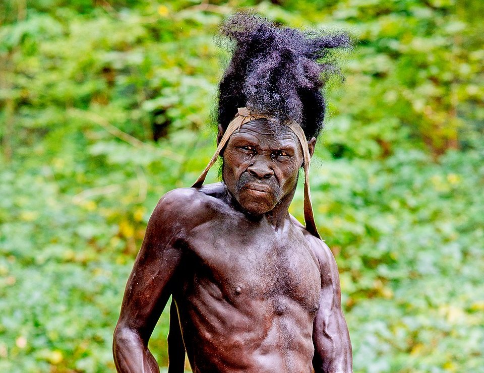 Homo sapiens sapiens