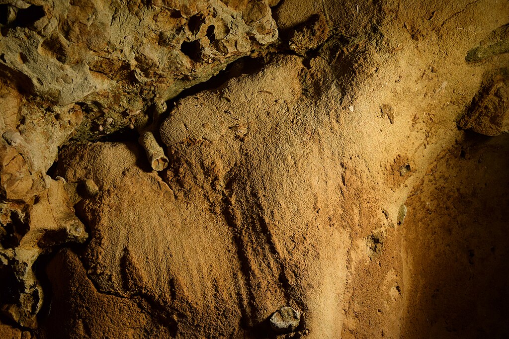 Neanderthal Finger Flutings 