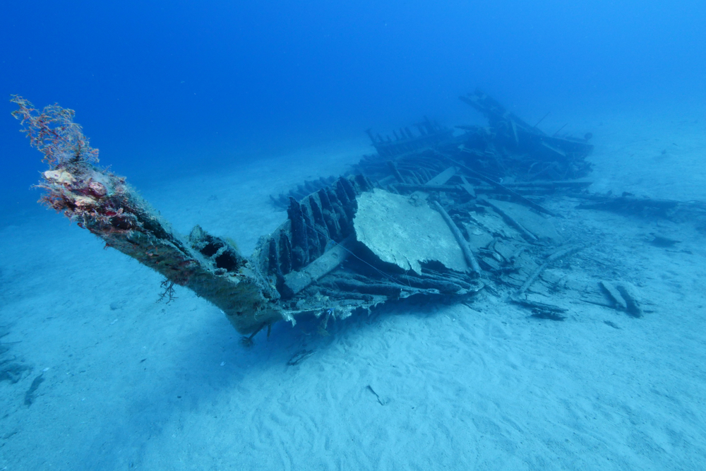 Scuba diver exploring and enjoying a wooden wreck