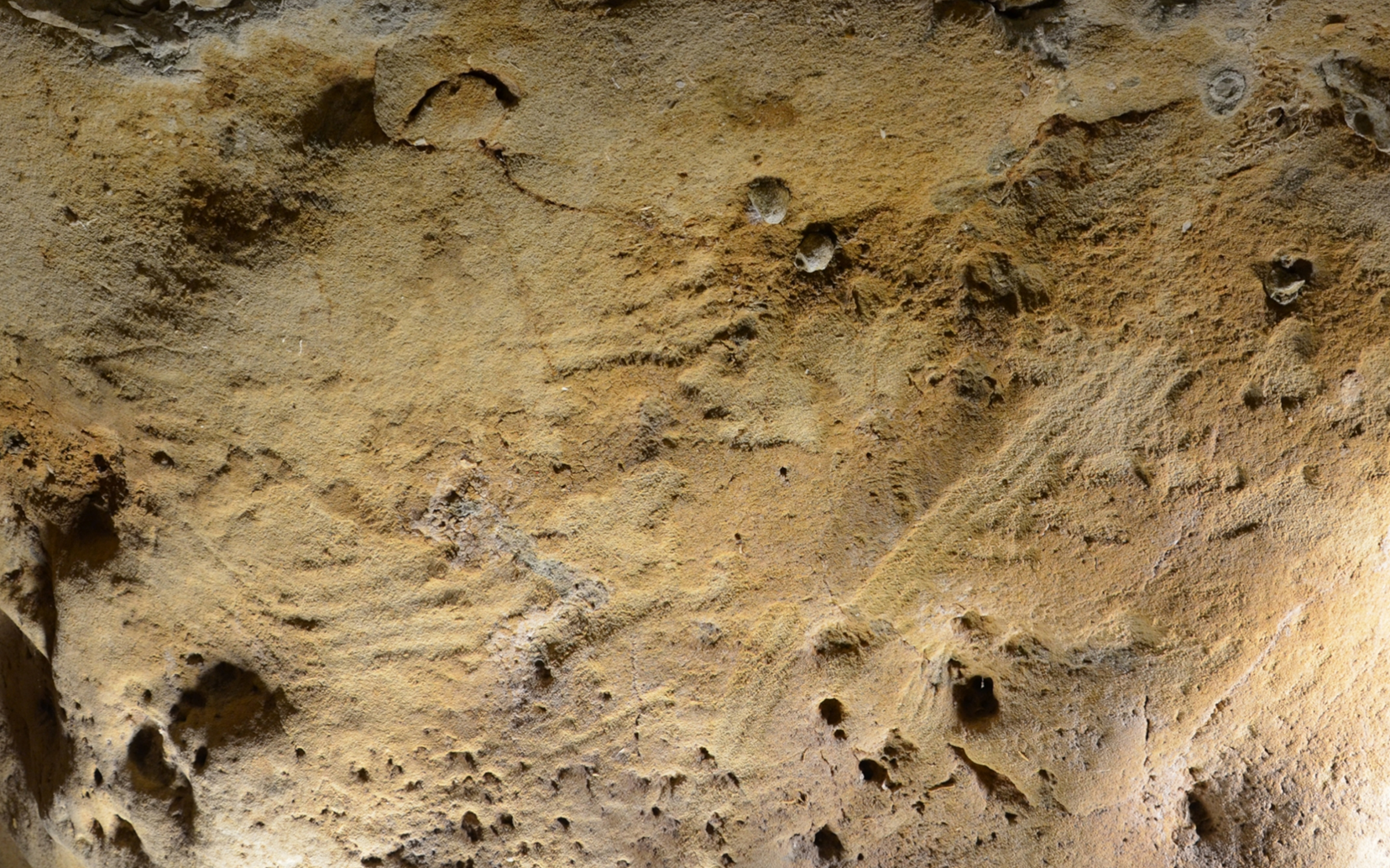 Neanderthal cave in France