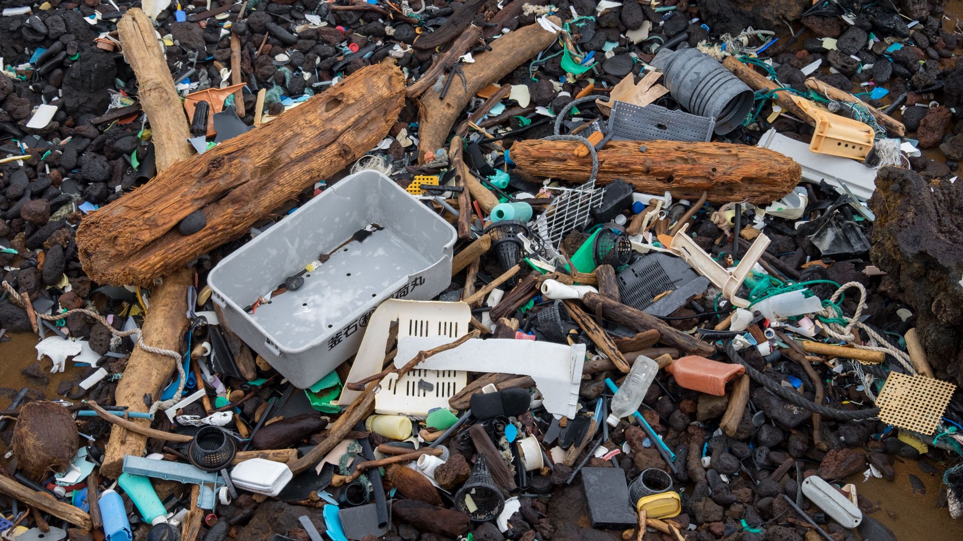 File:Beach trash (30870156434).jpg