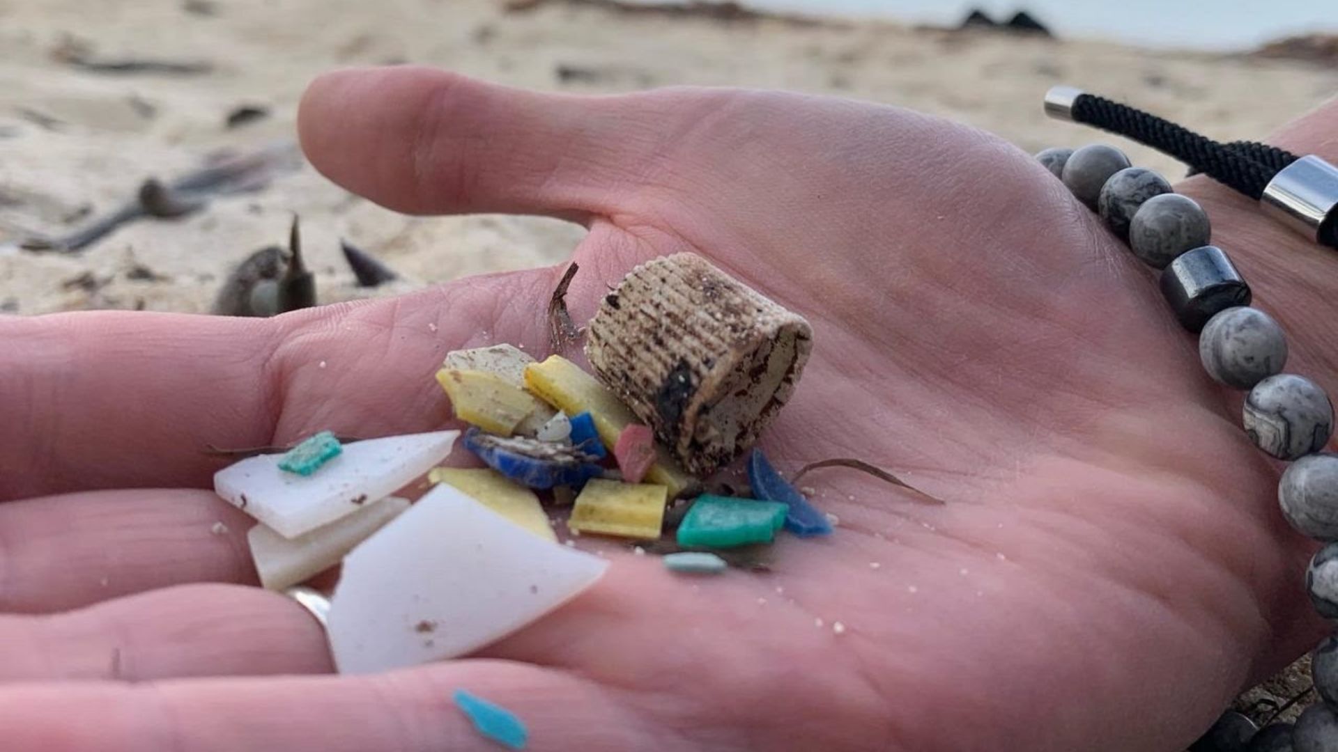 File:Microplastic-found-key-largo-beach-state-park.jpg