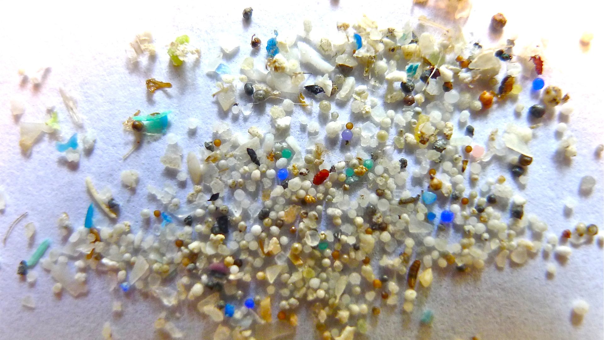 File:Microplastic.jpg