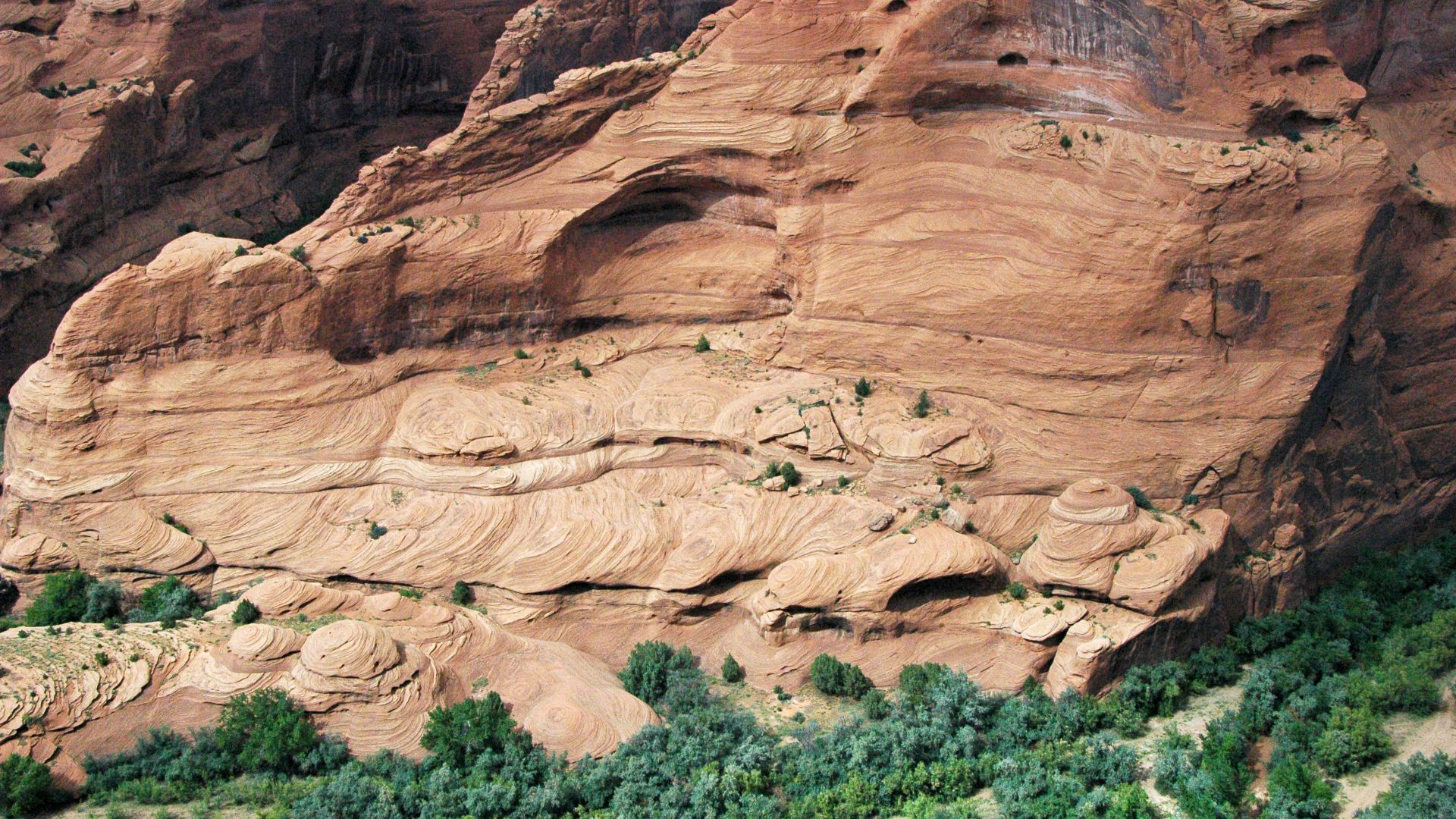 File:De Chelly Sandstone (Lower Permian; Canyon de Chelly, Arizona, USA) 67.jpg