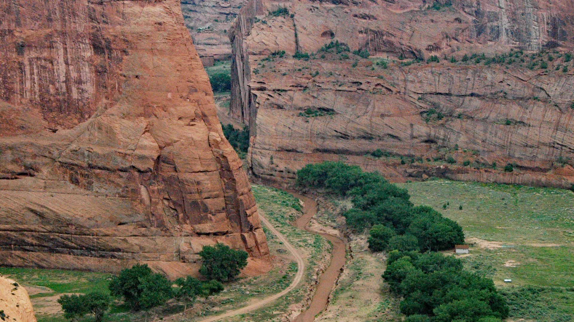 File:De Chelly Sandstone (Lower Permian; Canyon de Chelly, Arizona, USA) 68.jpg