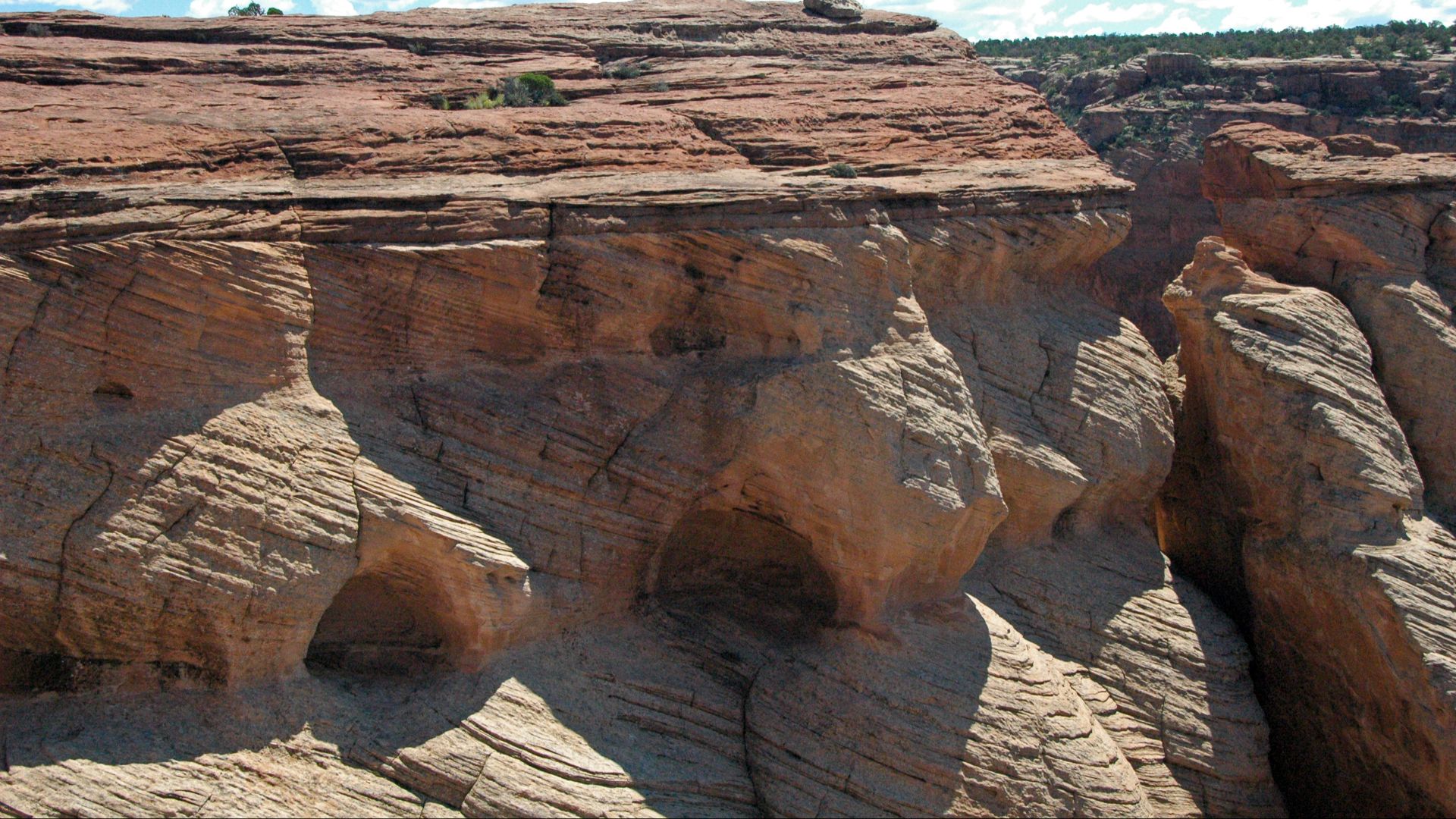 File:Shinarump Conglomerate over De Chelly Sandstone (Upper Triassic over Lower Permian; Canyon de Chelly, Arizona, USA) 5.jpg