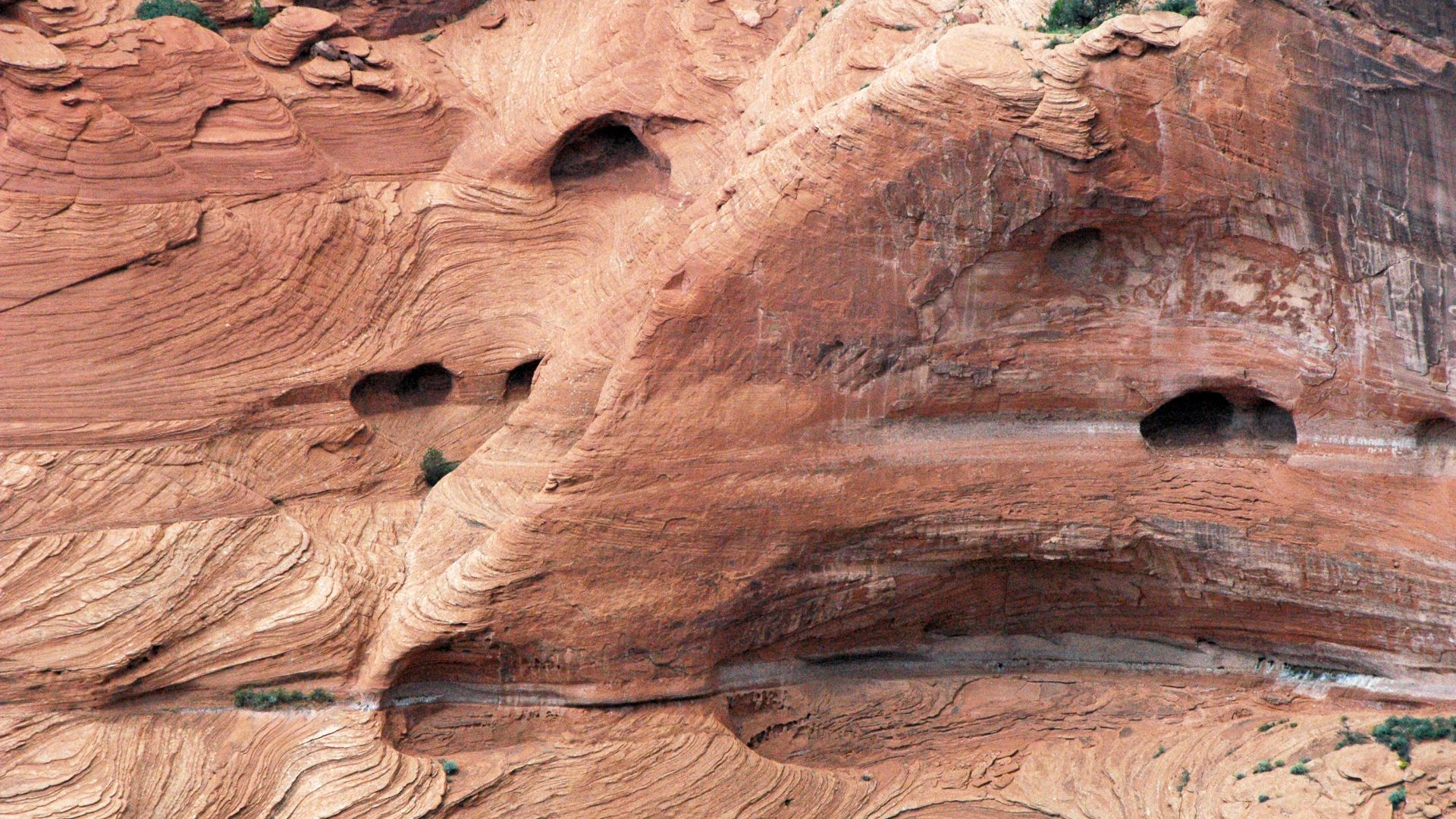 File:De Chelly Sandstone (Lower Permian; Canyon de Chelly, Arizona, USA) 62.jpg
