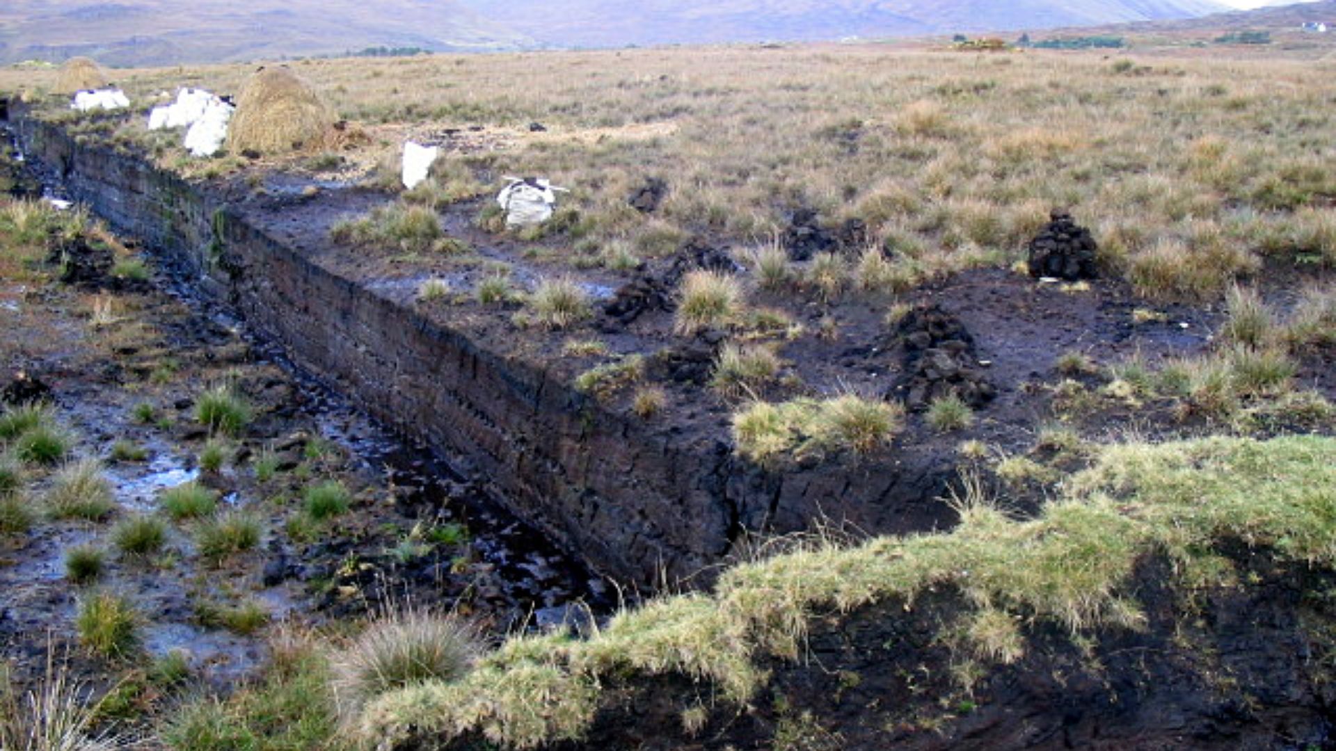 File:Peat-bog-Ireland.jpg