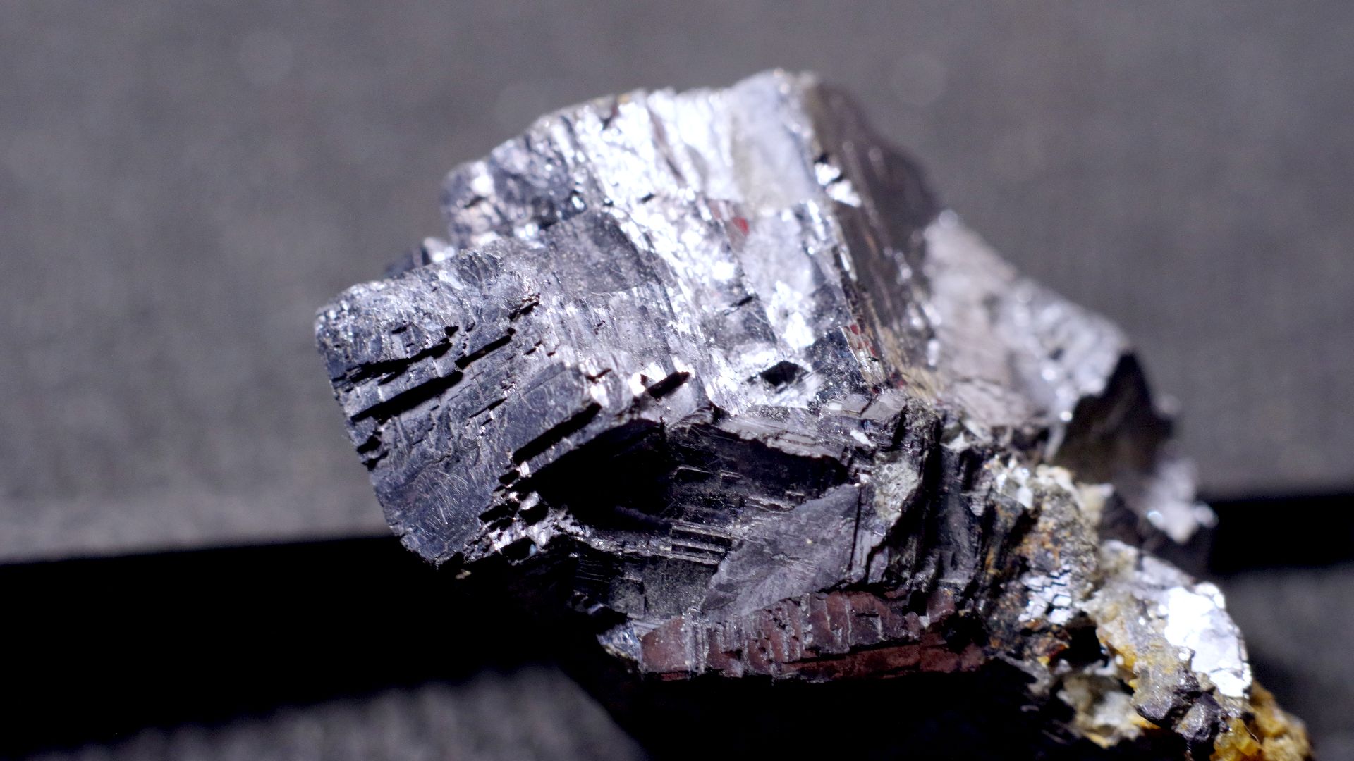 File:IMGP2024909 (51401021249).jpg