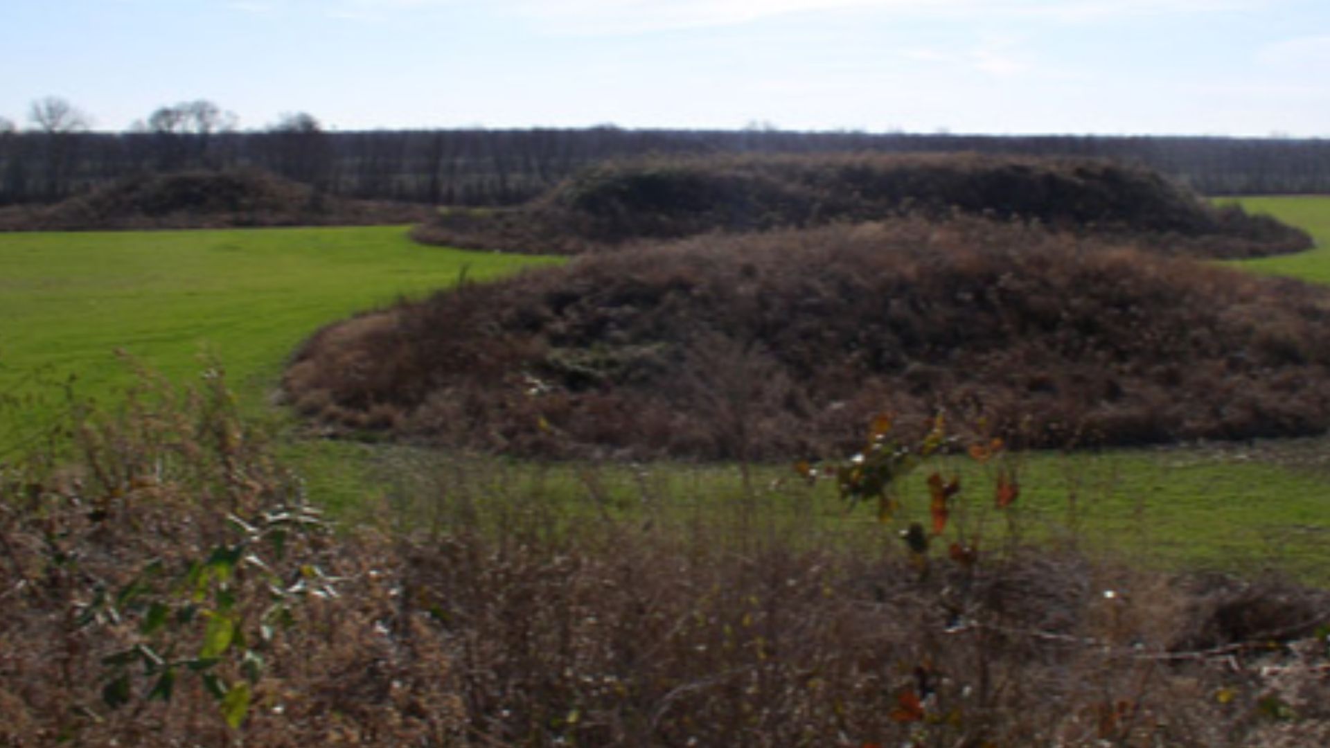 File:Chromesun kincaid pic01.jpg