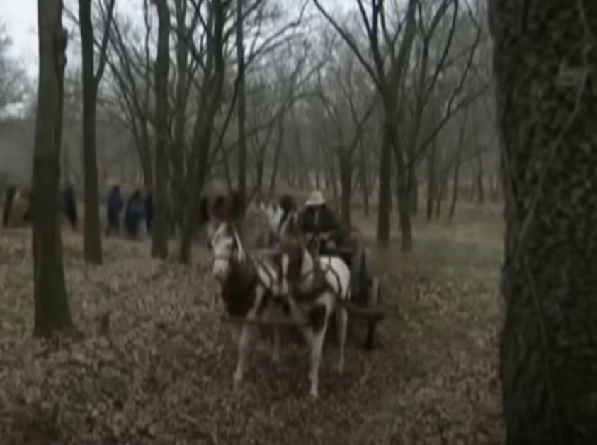 Screenshot From - Trail Of Tears National Historic Trail