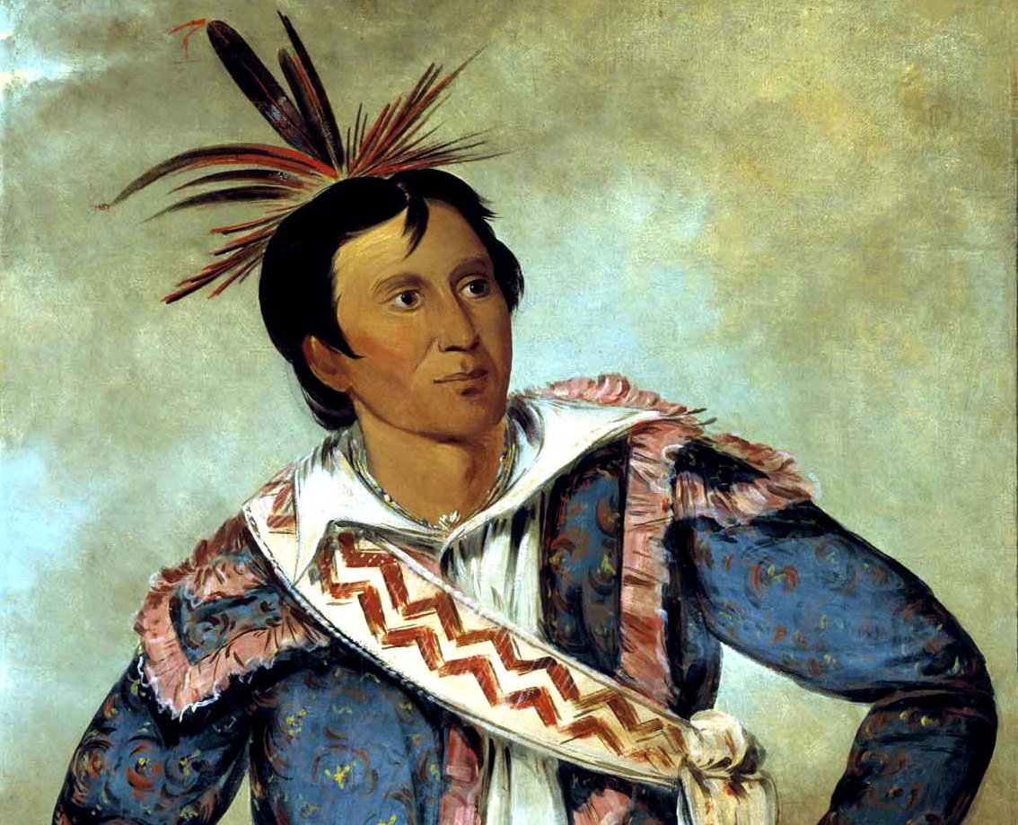 Há-tchoo-túc-knee, Snapping Turtle, a Half-breed - 1834