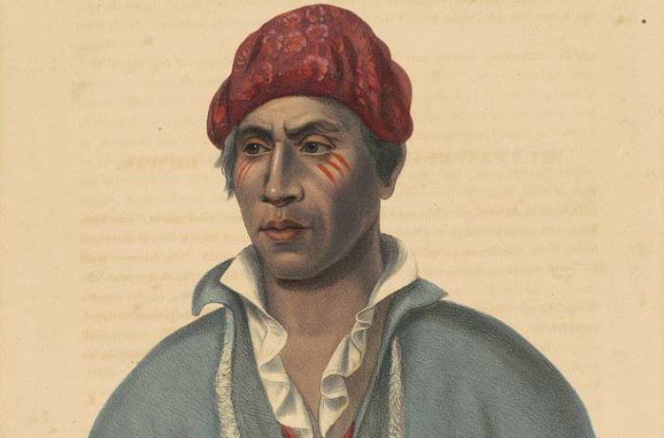 Portrait of Qua-Ta-Wa-Pea, A Shawnoe Chief