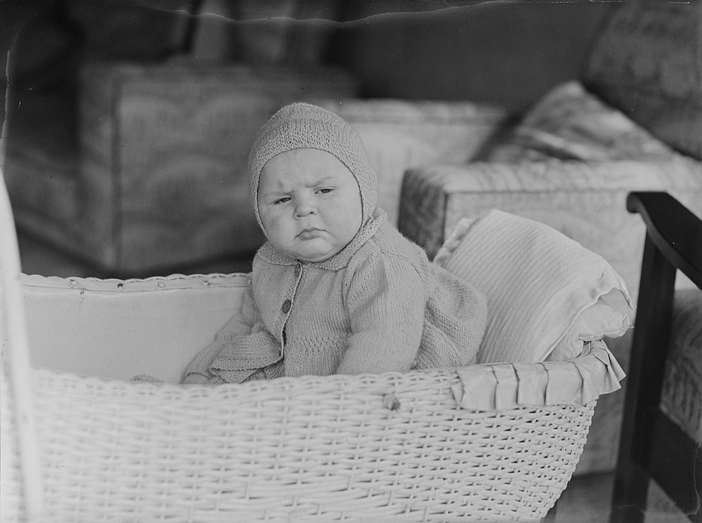 Portrait Of A Baby In A Bassinet