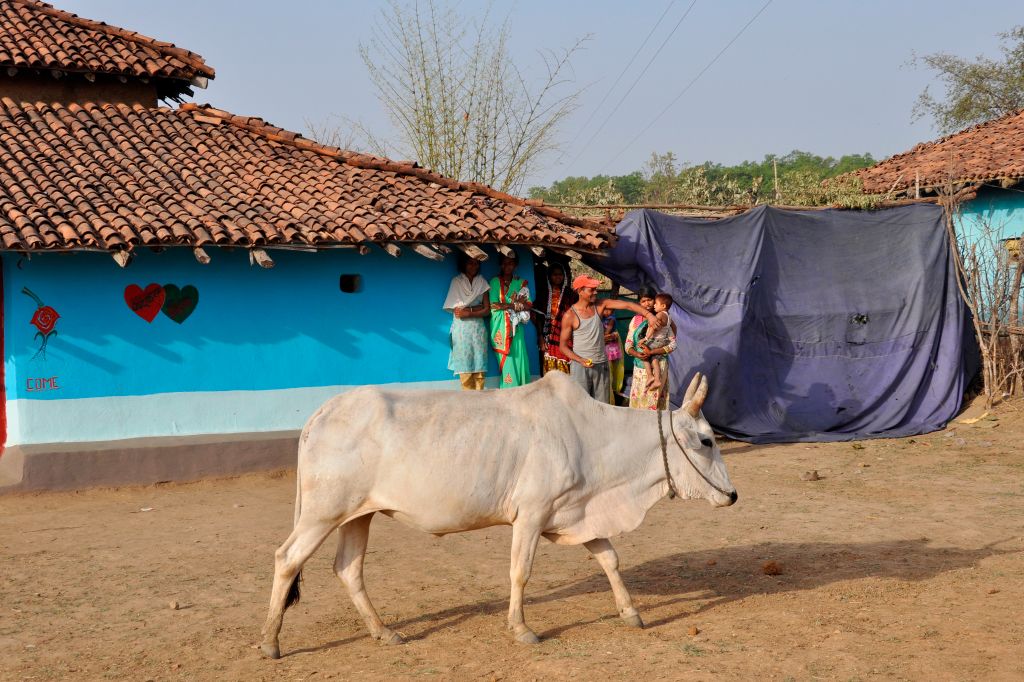Baiga Village. Orissa. India