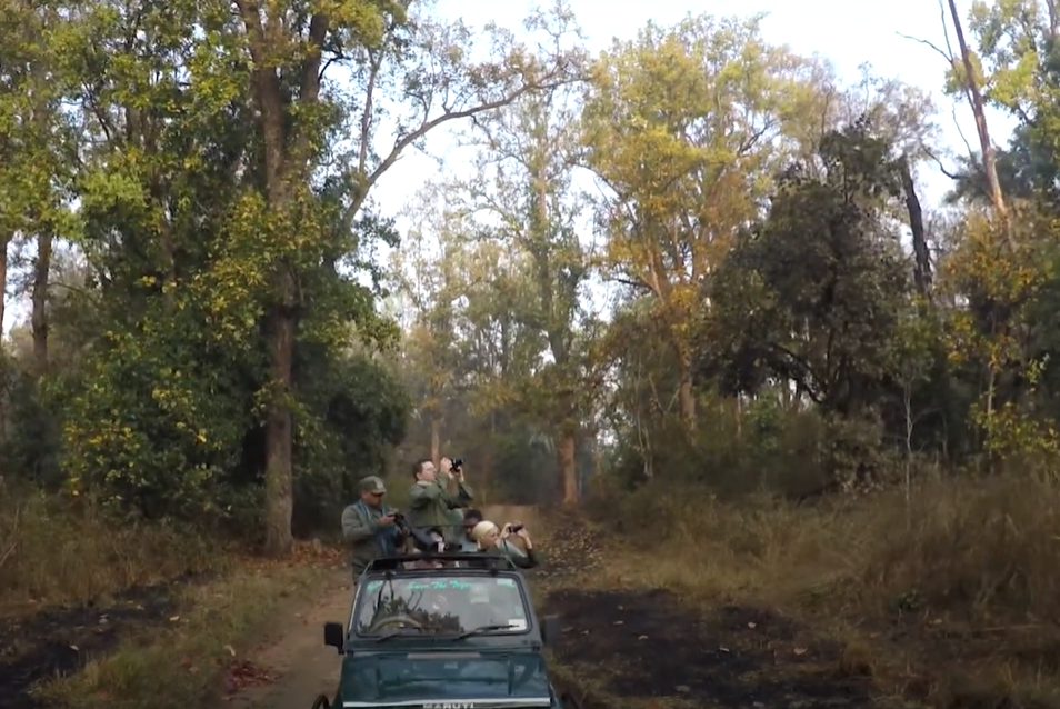 tourists in Baiga land