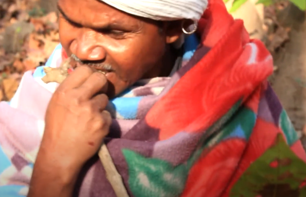 Baiga man eating root 