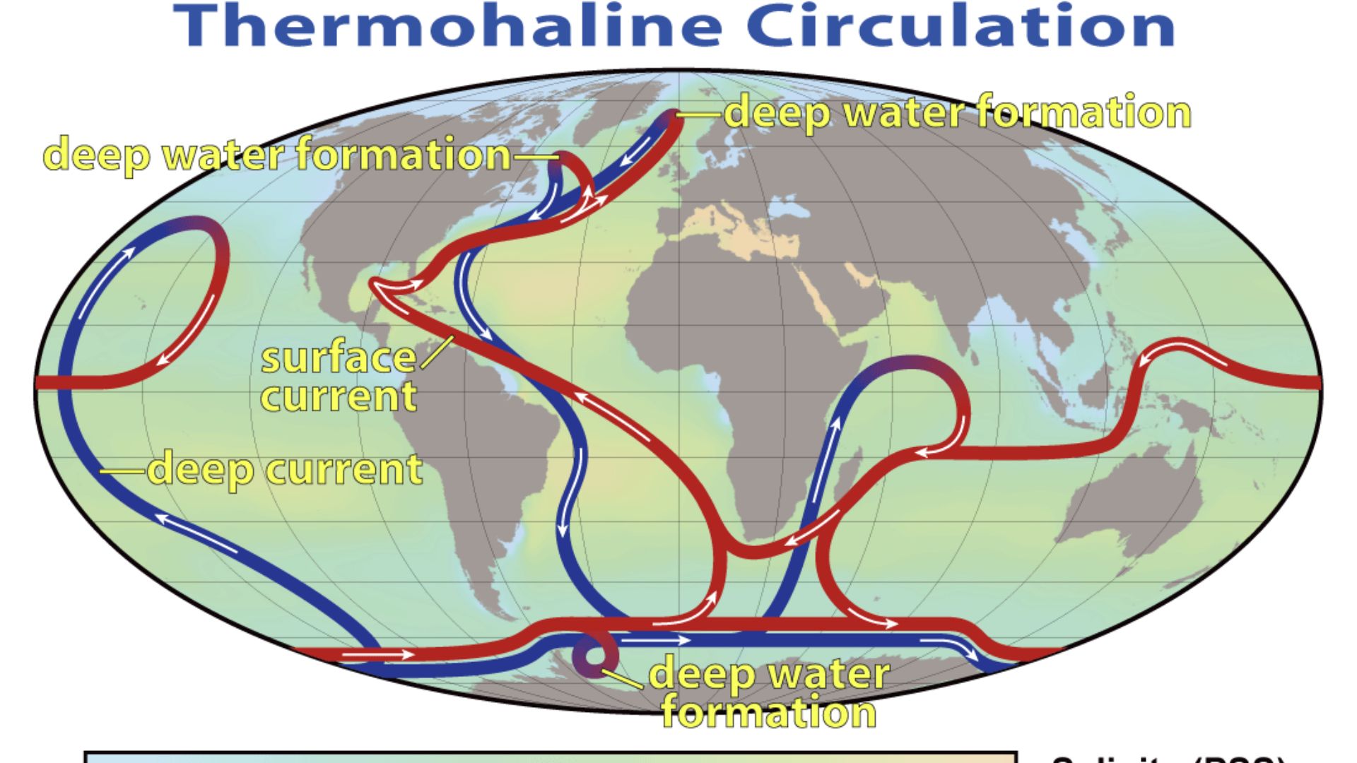 File:Thermohaline Circulation 2.png