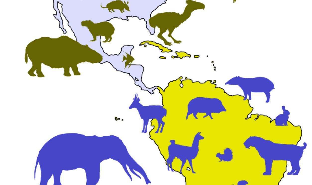 Untitled Design (46)