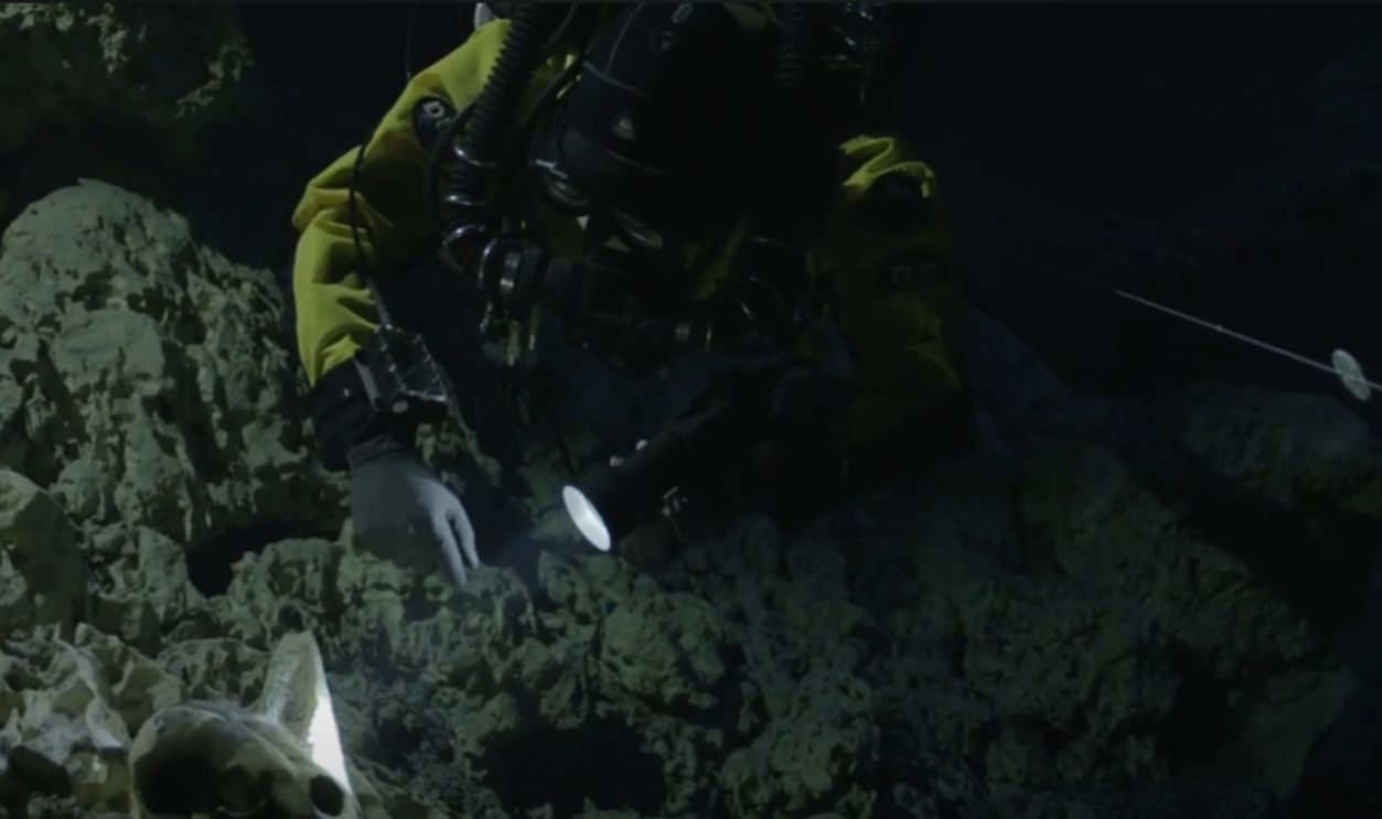 Untitled Design (51)