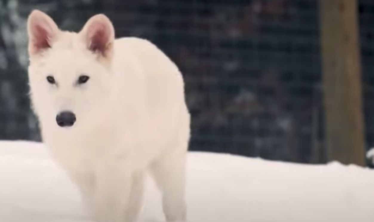 Untitled Design (52)