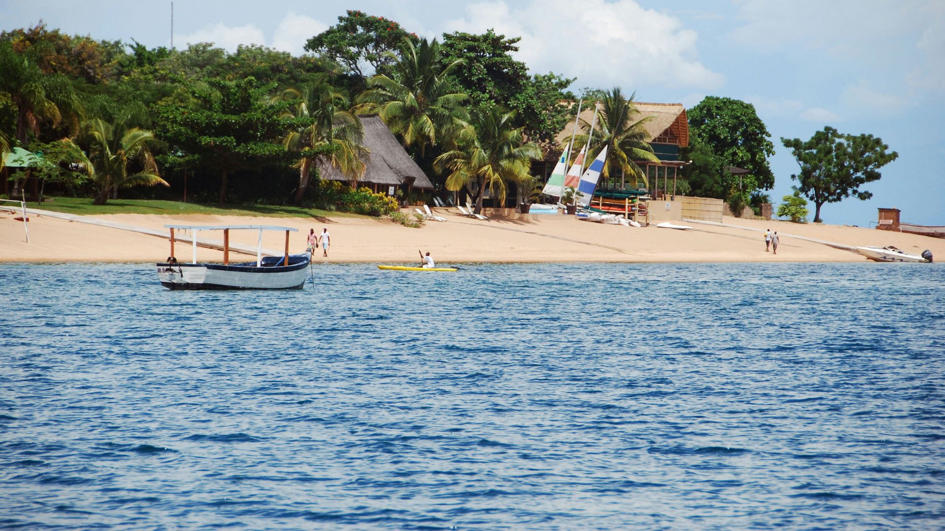 white boat on sea near palm trees during daytime