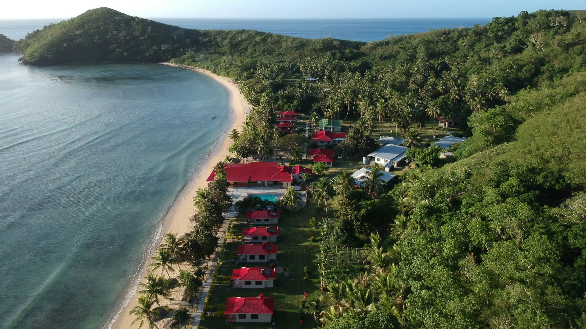 aerial view of green trees near body of water during daytime