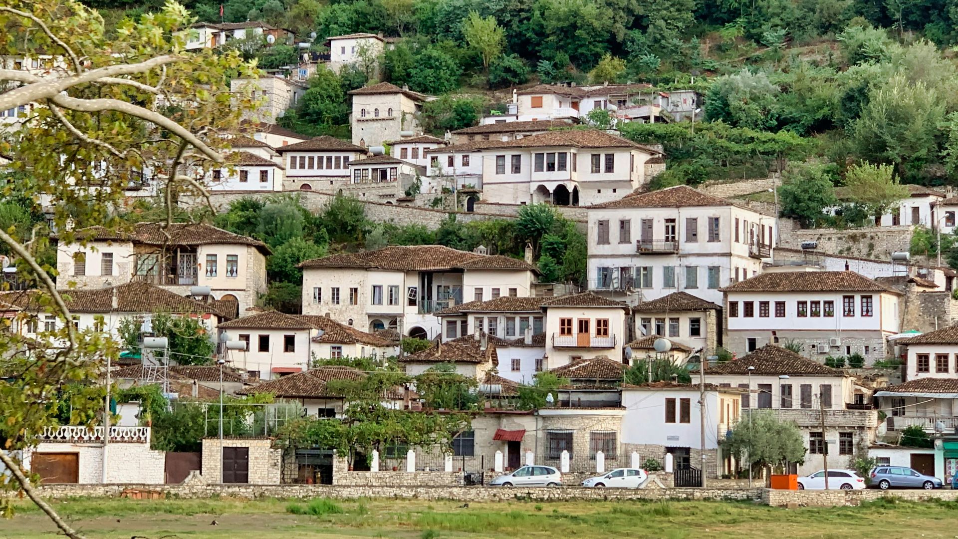 white and brown concrete houses near green trees during daytime